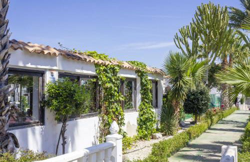 Bungalow Pink Palm beach - Foto 35