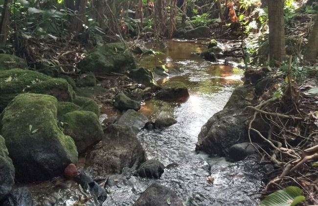 Sítio Toca da Aldeia - Foto 28