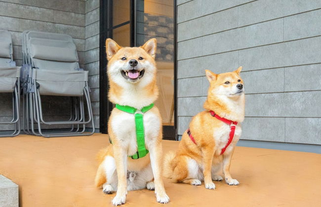 Rakuten STAY VILLA Aso Kurokawa - Foto 36