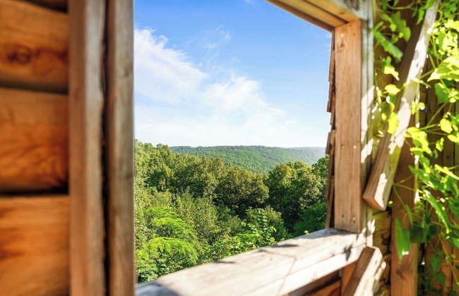 Branson's Crystal Cabin - Foto 55