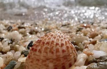 Sun Senses beach front villa with private beach - Photo 76