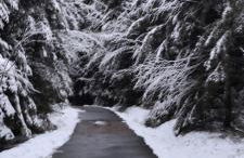 Ferienwohnung "Hirschlein" im Schwarzwald - Foto 50