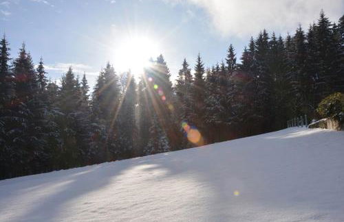 Haus Jasmin - Foto 6