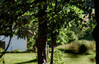 Agroturystyka Akacjowe Zacisze - Foto 24