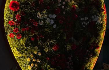 Paradisea club and residences - Foto 21