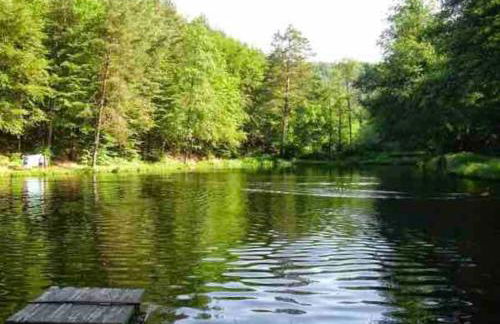 Ferienwohnung Braun - Foto 18
