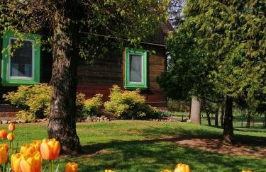 Domek na wsi Wiejsko Czarodziejsko - Agroturystyka Podlasie - Foto 23