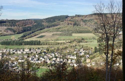 Ferienwohnung Am Pieperknapp in Olsberg - Foto 17