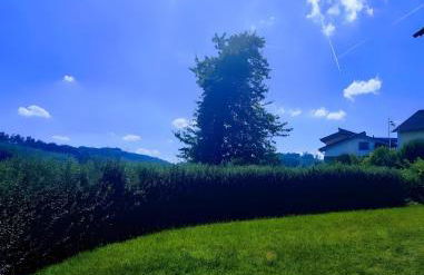 Ferienwohnung Panoramanest - Foto 30