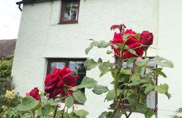 Cosy cottage in rural Culmington, Ludlow - Photo 3
