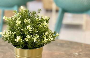 Villa Cristina 9 - Foto 39