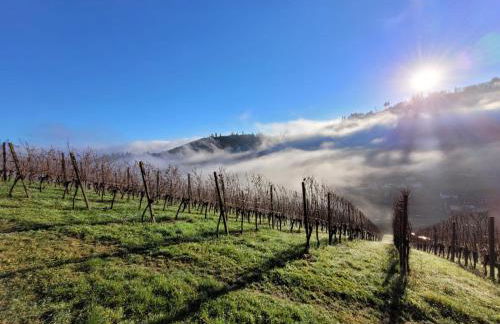 Am Boulevard - Foto 19