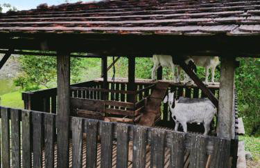 Hospedagem Zilz - Foto 43