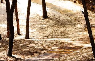 Appartamenti Rivabella D - Photo 1