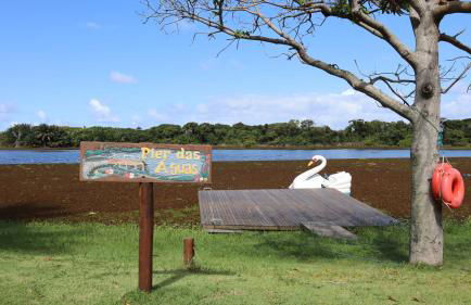 Apartamento espetacular na MELHOR praia da Bahia, GUARAJUBA é uma das únicas praias com selo azul do Brasil -Luxo, lazer, diversão e tranquilidade! Projetado para que você tenha a melhor experiência em hospedagem - Condominio tipo resort, o mais procurado - Foto 22