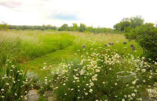 Old Cary Cottage - Foto 23