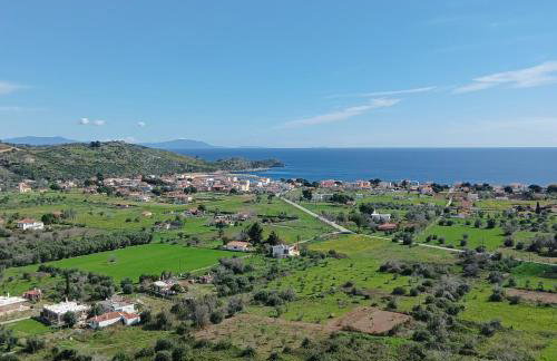 Elegant Dream Suites - Photo 3