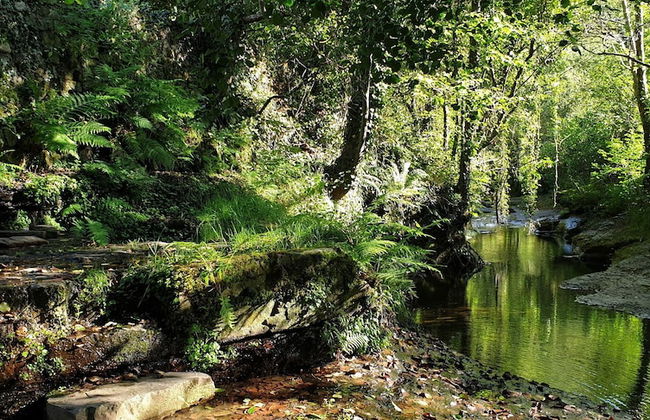 Molino de Yera - Foto 66