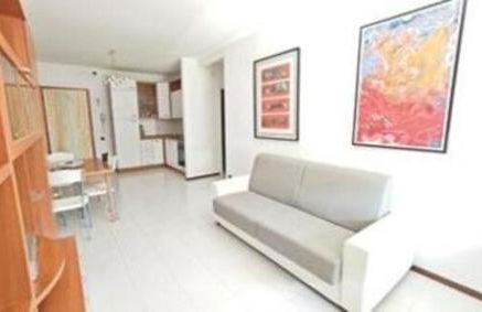 Stella marina - Photo 18