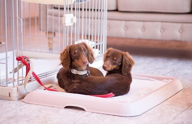 Ponta Village Karuizawa - Foto 37