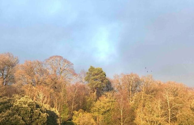 Lovely 1-bed Apartment in Glasgow - Foto 14