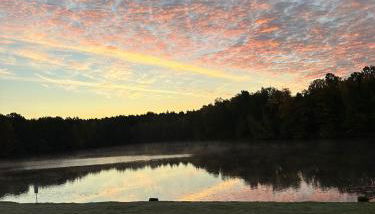 Terassenblick am See - Foto 5