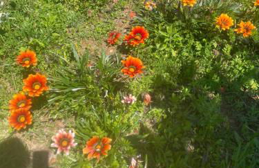 Quinta Pura Natura - Foto 54