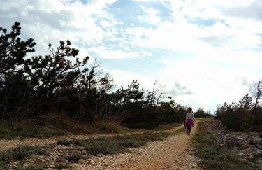 Holiday House Jolini Dvori - Photo 42