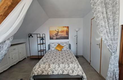 L'appel de la foret - Foto 2