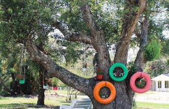 5 min from Weeki Wachee park- Fully Fenced 3 Bedroom House - Foto 19