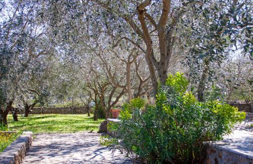 Two villas MaraVinka - Foto 11