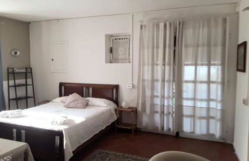 Poderino La Noce - Foto 47