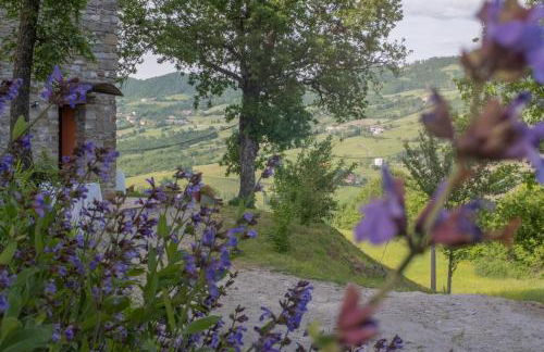 Il Casale-toscoemiliano - Foto 12