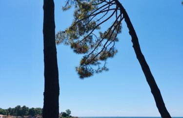 APARTMANI NIEL - Photo 60