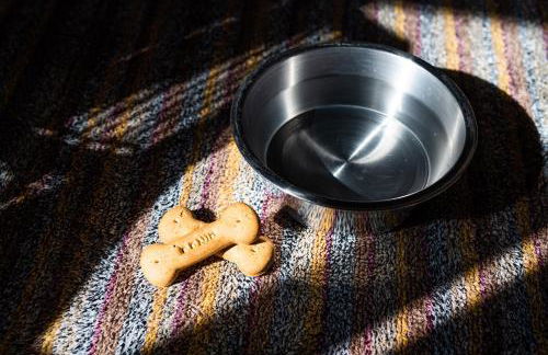 Wheel Cottage, Landrake - Photo 27