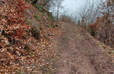 Ferienwohnung Unterm Rappenfels - Foto 31