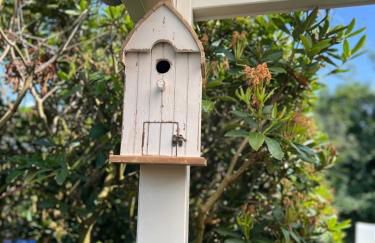 Haus Schönsee - Foto 29