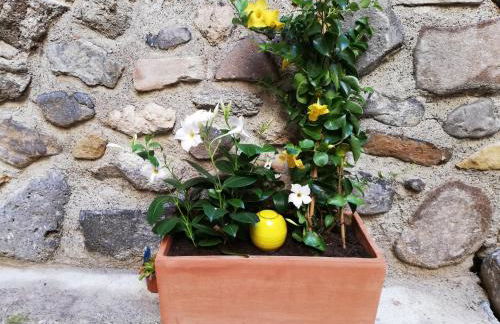 Les insolites de Champeix - Photo 31