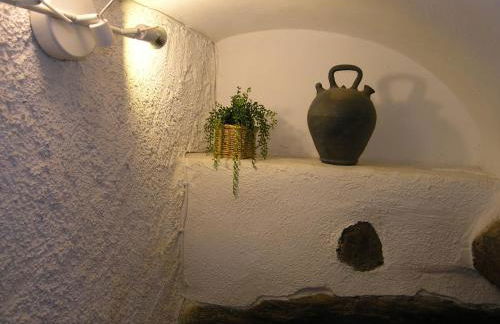 Cal Joanet, acollidora caseta a Gratallops - Foto 32