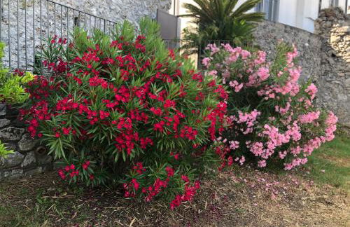 Un Capriccio - Mirto - Foto 19