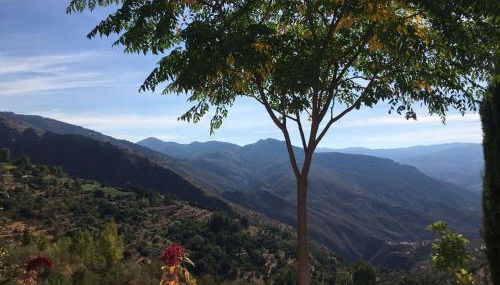 Jardin Andaluz veleta - Foto 4