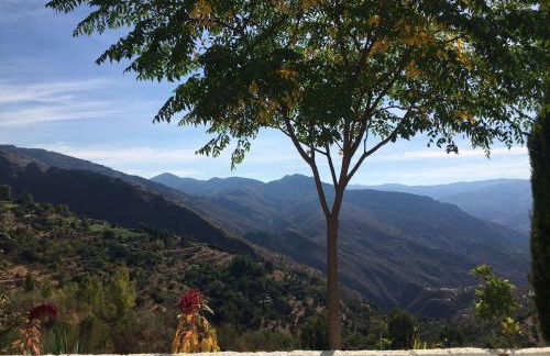 Jardin Andaluz veleta - Foto 4