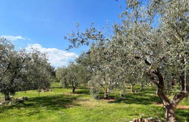 Apartments Tino & Leon - Foto 38