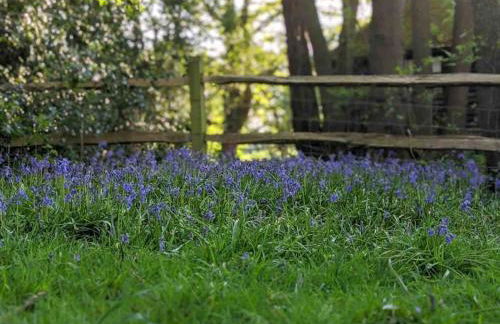 The Piggery - Foto 48