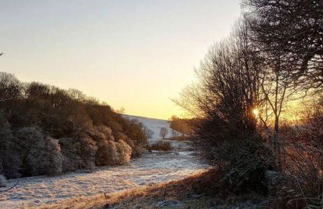 Willow Cottage, Gilchristland Organic Farm - Foto 17