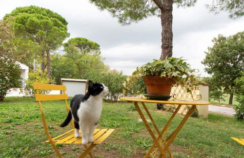 Agriturismo Campanacci - Foto 70