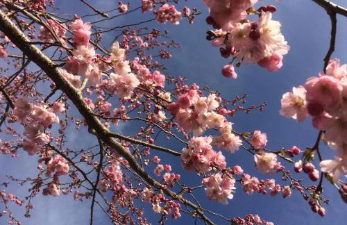 Luxurious Granny House Bell Busk in Malhamdale - Foto 40