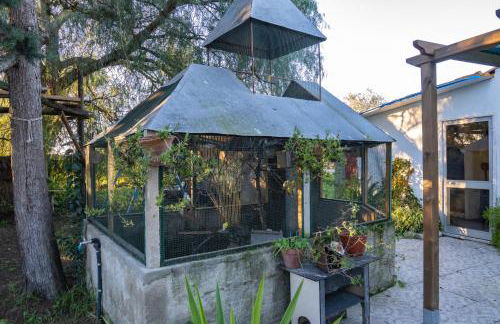 Quinta dos Pinheiros - Foto 36