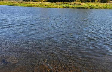Relax nad Narwią u Oli I Pawła - Photo 21
