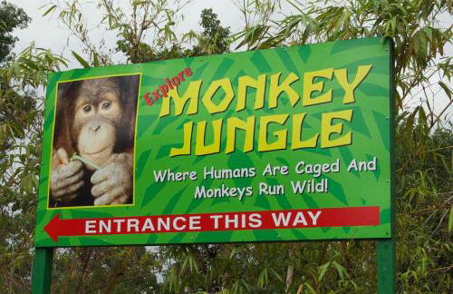 Serene Tiny House Retreat in Japanese Garden - Foto 55